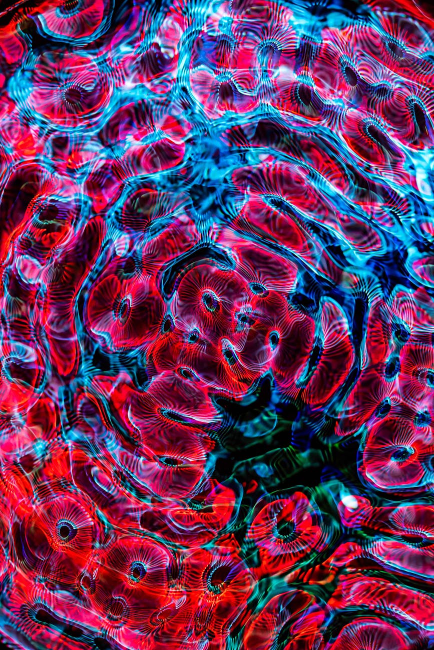 Énergie, pensées, expansion de conscience